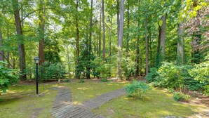 A forested area with a wooden pathway leading through it.