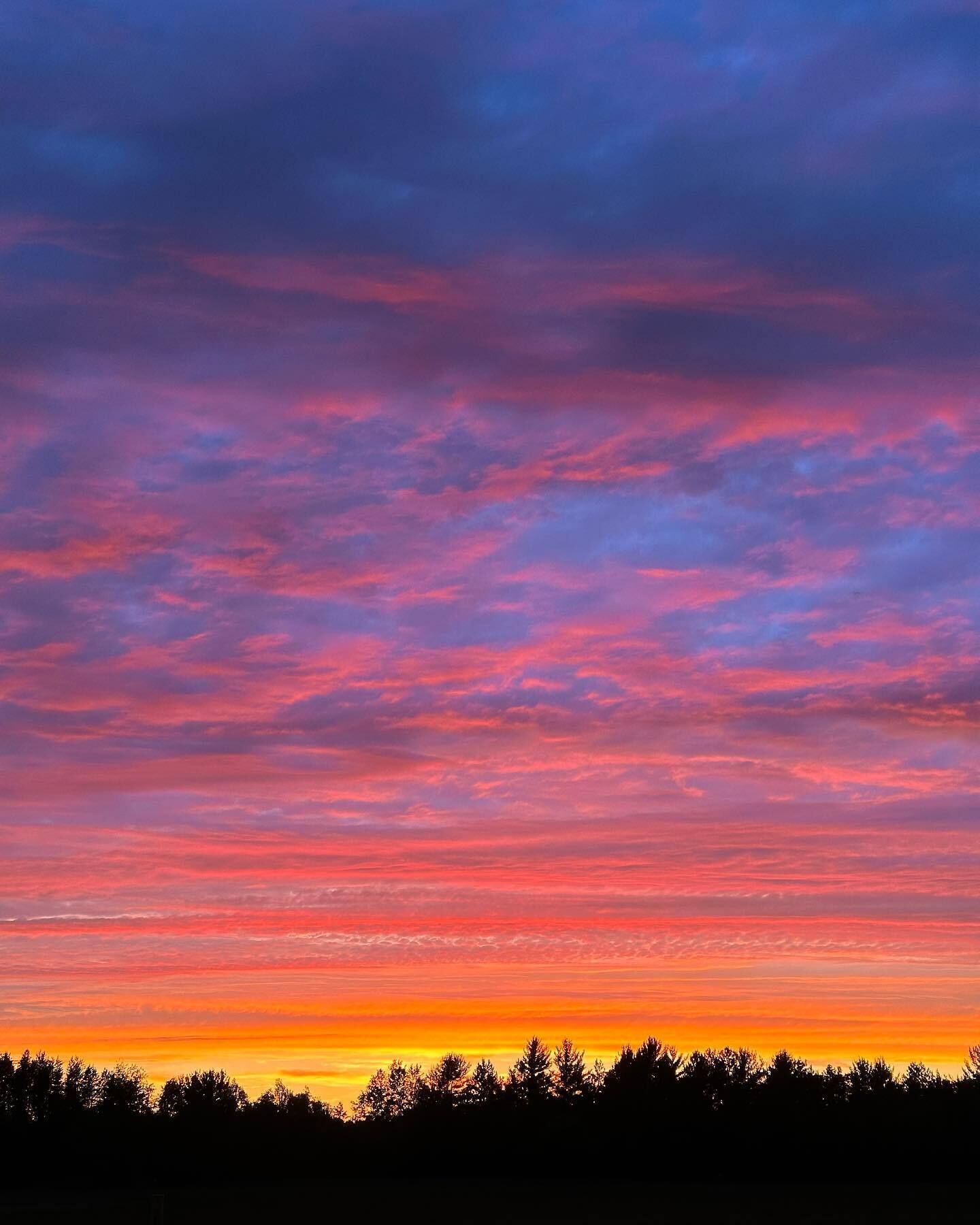 En solnedgång med en färgsprakande himmel och silhuetter av träd.