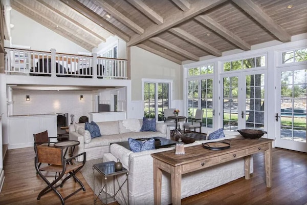 Smart TV, chimenea, libros, estéreo