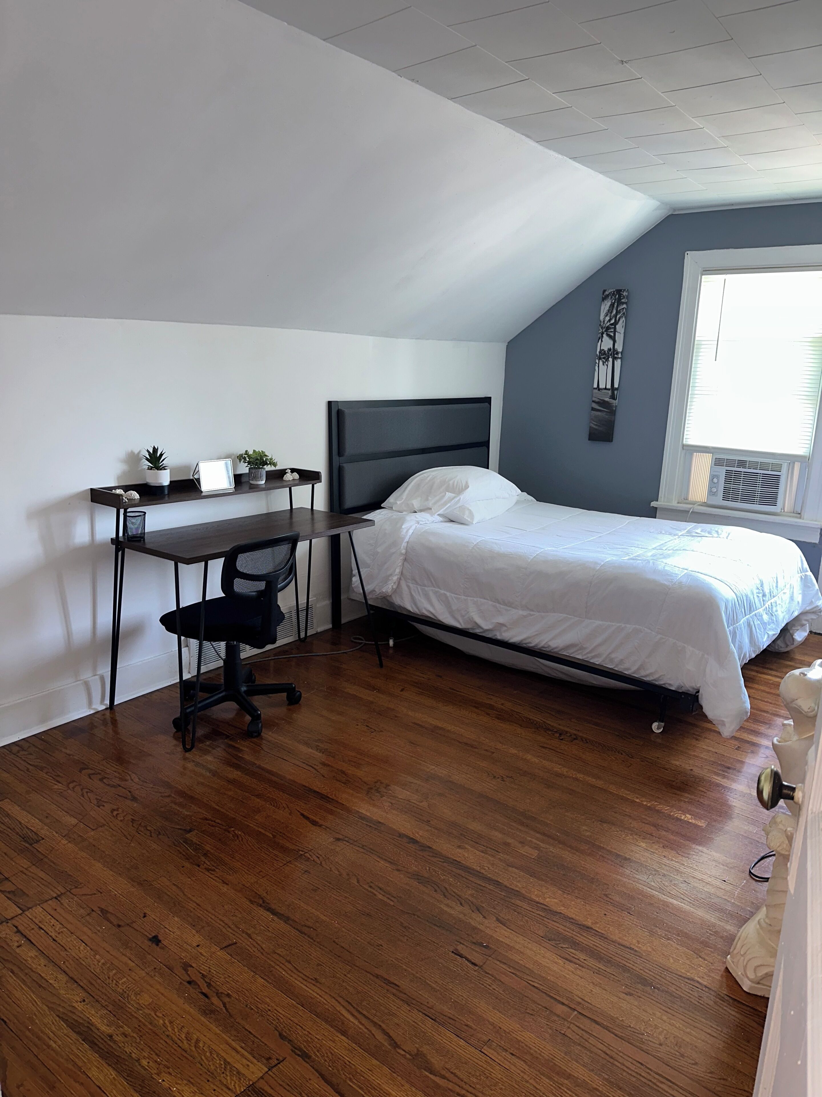 Cute Cozy with Old Charm. Buffalo’s Hamlin Park : Pet friendly 