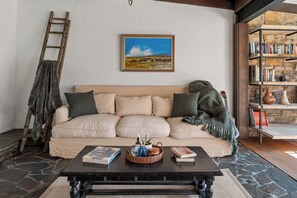 TV connectée, cheminée, livres