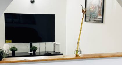 Cheerful two bedrooms apt mins to ubs stadium