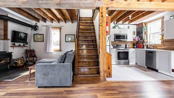 TV, fireplace