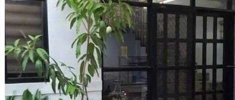 外观细节