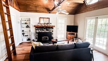 TV, fireplace, books