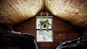 A cozy attic room with a sloped wooden ceiling, a hanging plant, and a patterned floor. - The Nest: Serene Sanctuary w Hot Tub, Fireplace, Grill, Hammock, Outdoor Fire Fe (Idyllwild-Pine Cove)