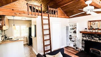 TV, fireplace, books