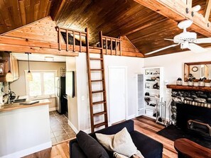 Télévision, cheminée, livres