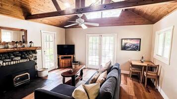 TV, fireplace, books