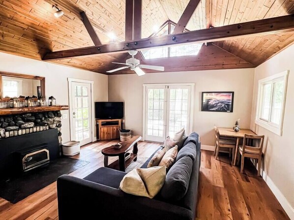 TV, fireplace, books