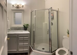 Un baño con ducha envuelta en vidrio, un lavabo con espejo y un inodoro.