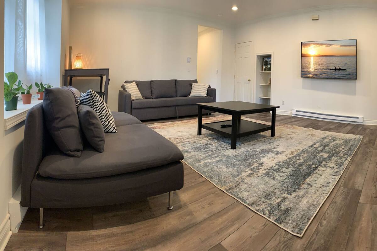 A modern living room with a grey sofa, a coffee table, and a large rug.