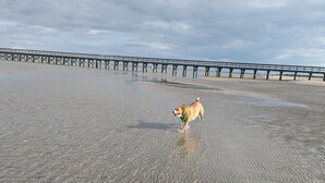 A dog running on a sandy beach with a pier in the background. - COASTAL CORAL -A few steps to the Beach, Pier, Park & close to all Boat Ramps.  (Port O'Connor)