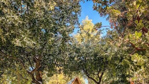 Une cabane avec des fondations en pierre, des murs en bois et un toit à forte pente.