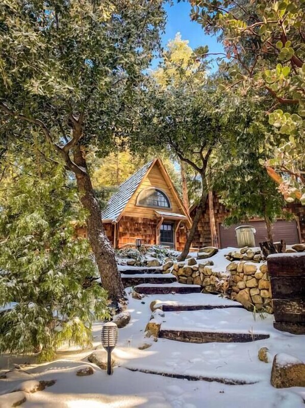 Property grounds - Wildland Zen Den: Tiny House Retreat with Fireplace, Grill, AC, Hammock, Record (Idyllwild-Pine Cove)