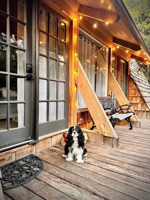 Botón de imagen sin clasificar, 2 de 43