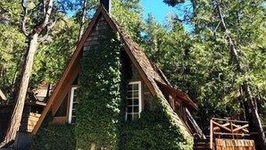 A small cabin with a steeply pitched roof, surrounded by trees. - Clarity Cabin A-Frame Sanctuary w Hot Tub, Fireplace, Grill, AC, Hammock Chairs, Fire Pit, Pets OK (Idyllwild-Pine Cove)