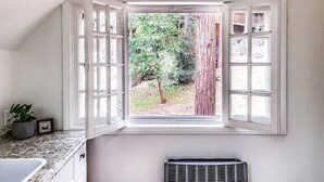A bathroom with a window, a radiator, and a potted plant.