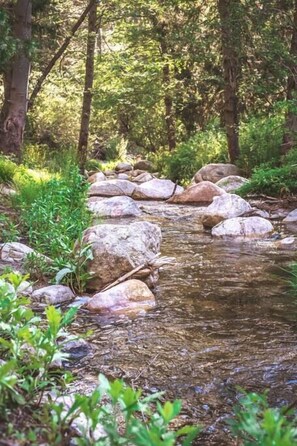 Un arroyo natural con rocas y vegetación.