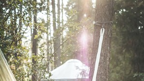 A hammock tied to a tree in a natural setting. - Creekside Sanctuary | Fire Pit | Hot Tub (Idyllwild-Pine Cove)
