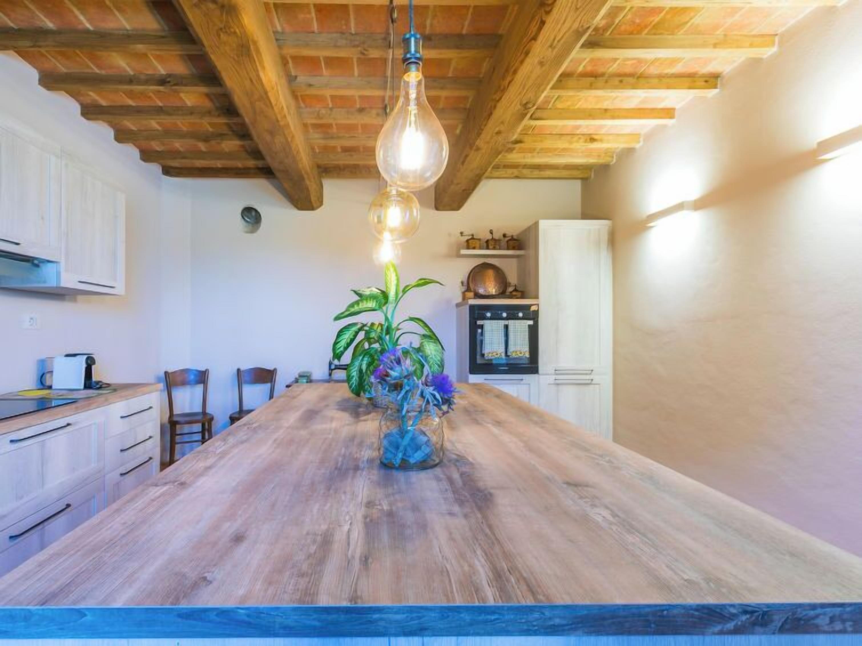 Uma cozinha com ilha de madeira, luminária pendente e planta em vaso.