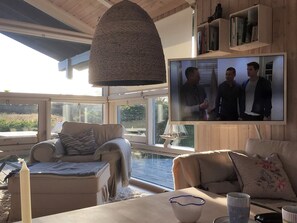 Télévision, cheminée, lecteur de DVD