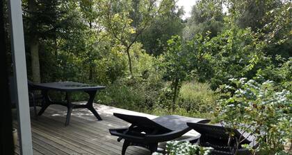 "Laurine" - 2.7km from the sea by Interhome