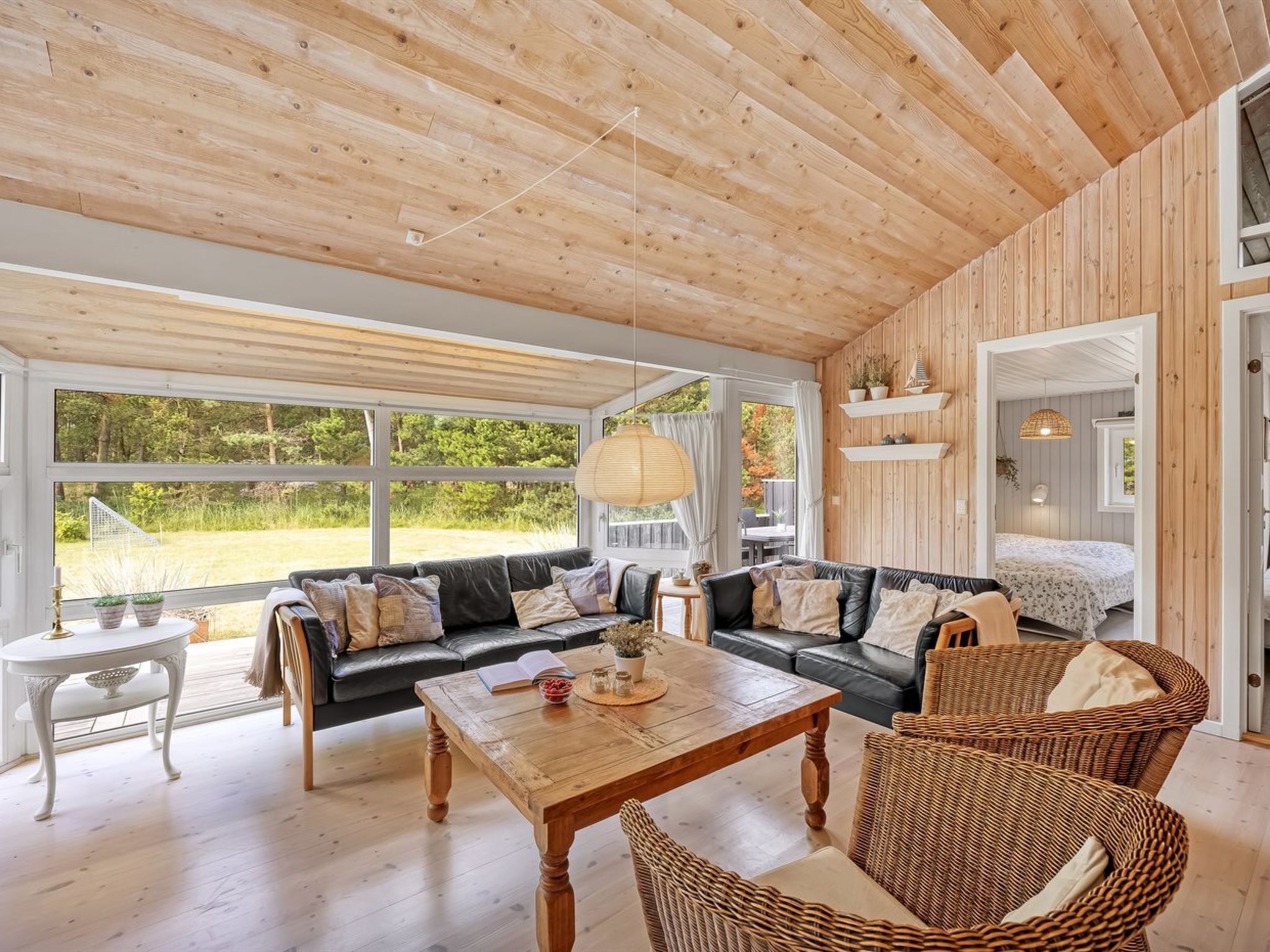 TV, fireplace, DVD player