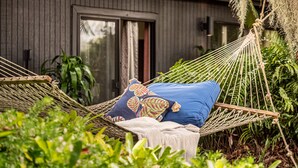 A hammock with pillows in a lush garden setting, a wooden door, and a window with curtains. - "Pua Pono House" | Pupukea Acerage, Fruit Trees (Haleiwa)
