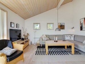 TV, fireplace, DVD player