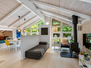 Televisión y chimenea 