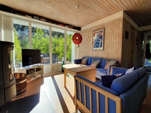Televisión, chimenea, reproductor de DVD