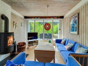 Fernseher, Kamin, DVD-Player