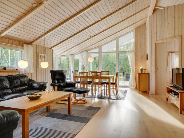 TV, fireplace, DVD player