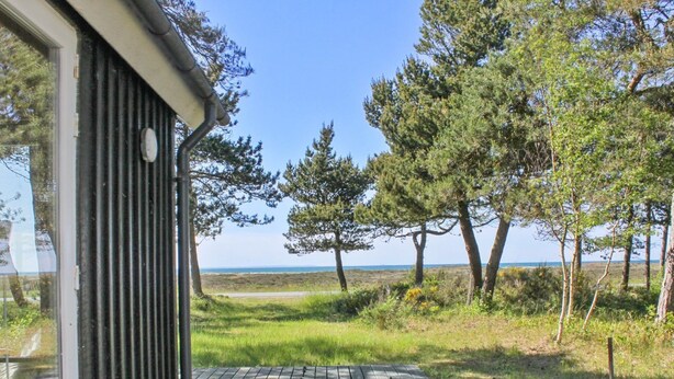 Une terrasse en bois mène à un bâtiment d’où l’on peut admirer un espace verdoyant et des arbres.