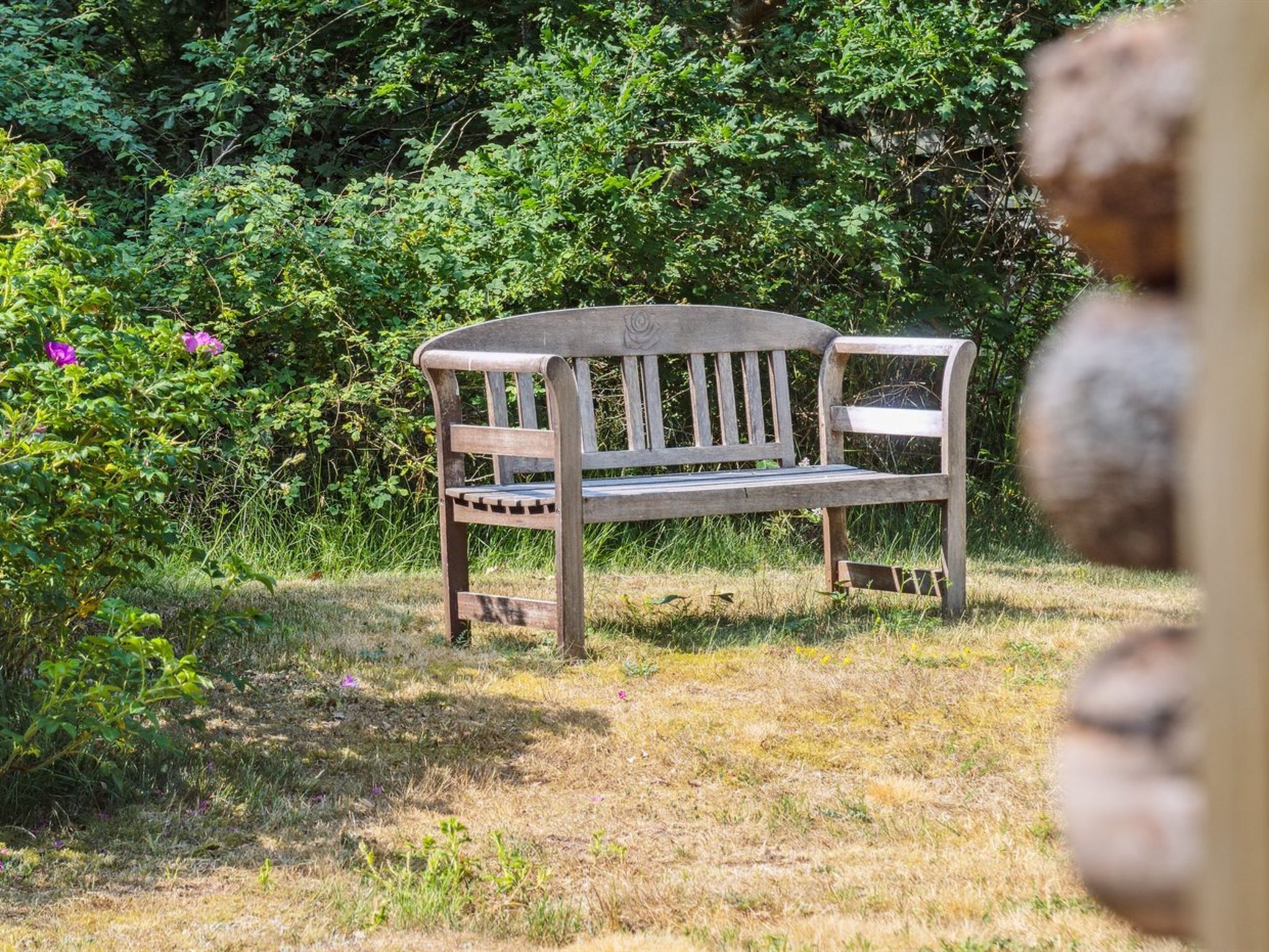 Un banco de madera en un jardín con follaje denso al fondo.