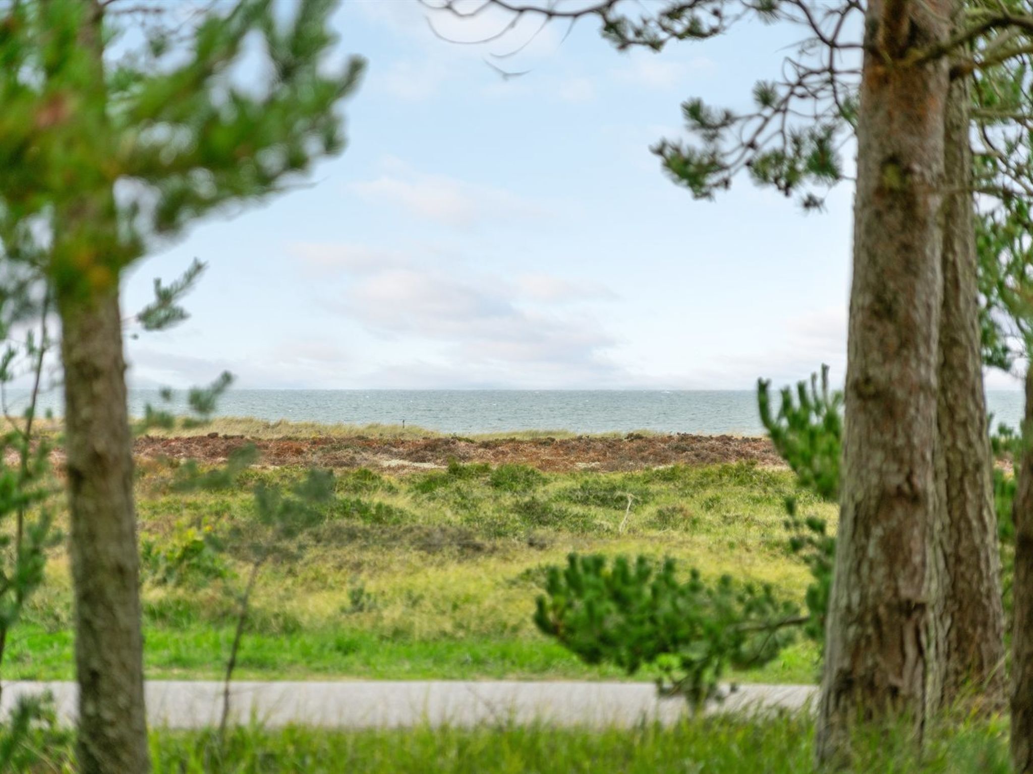 Eine Küstenlandschaft mit Bäumen, die den Blick auf das Meer einfassen.