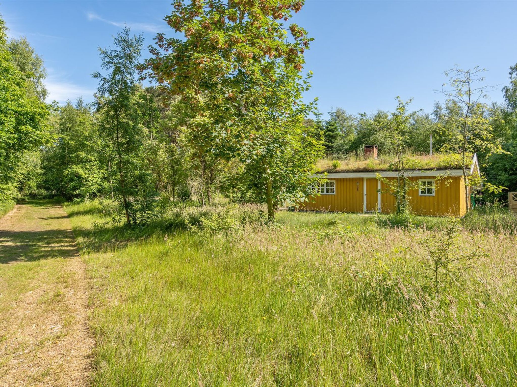 Ein gelbes Blockhaus mit einem Reetdach, umgeben von dichtem Grün und einem Feldweg.