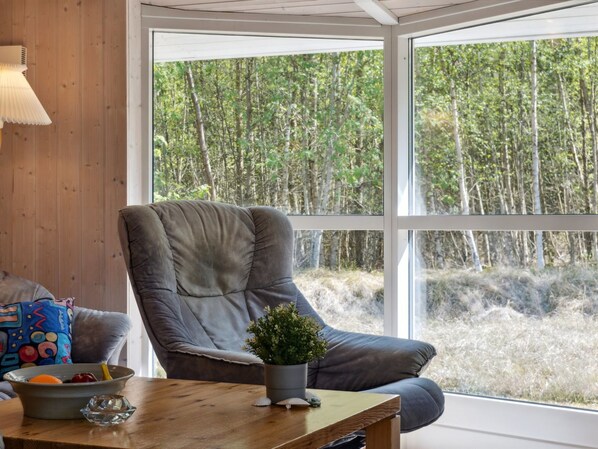 TV, fireplace, DVD player