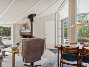 Tv, pejs, dvd-afspiller
