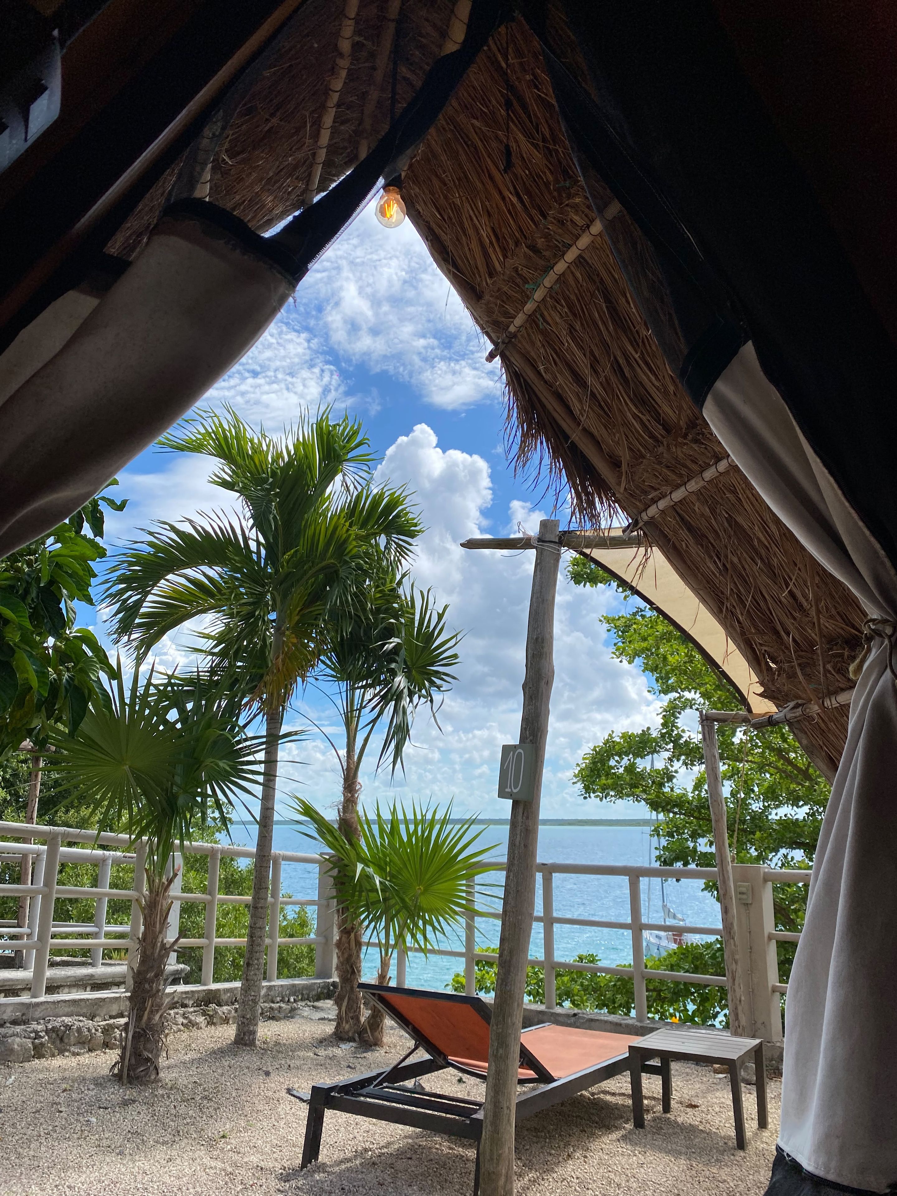 A beachside view with a thatched roof, a lounge chair, and a palm tree.
