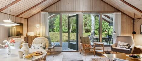 Fernseher, Kamin, DVD-Player