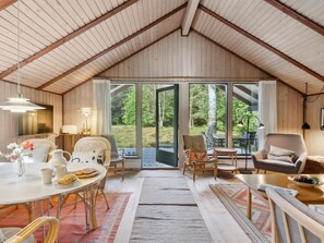 TV, fireplace, DVD player