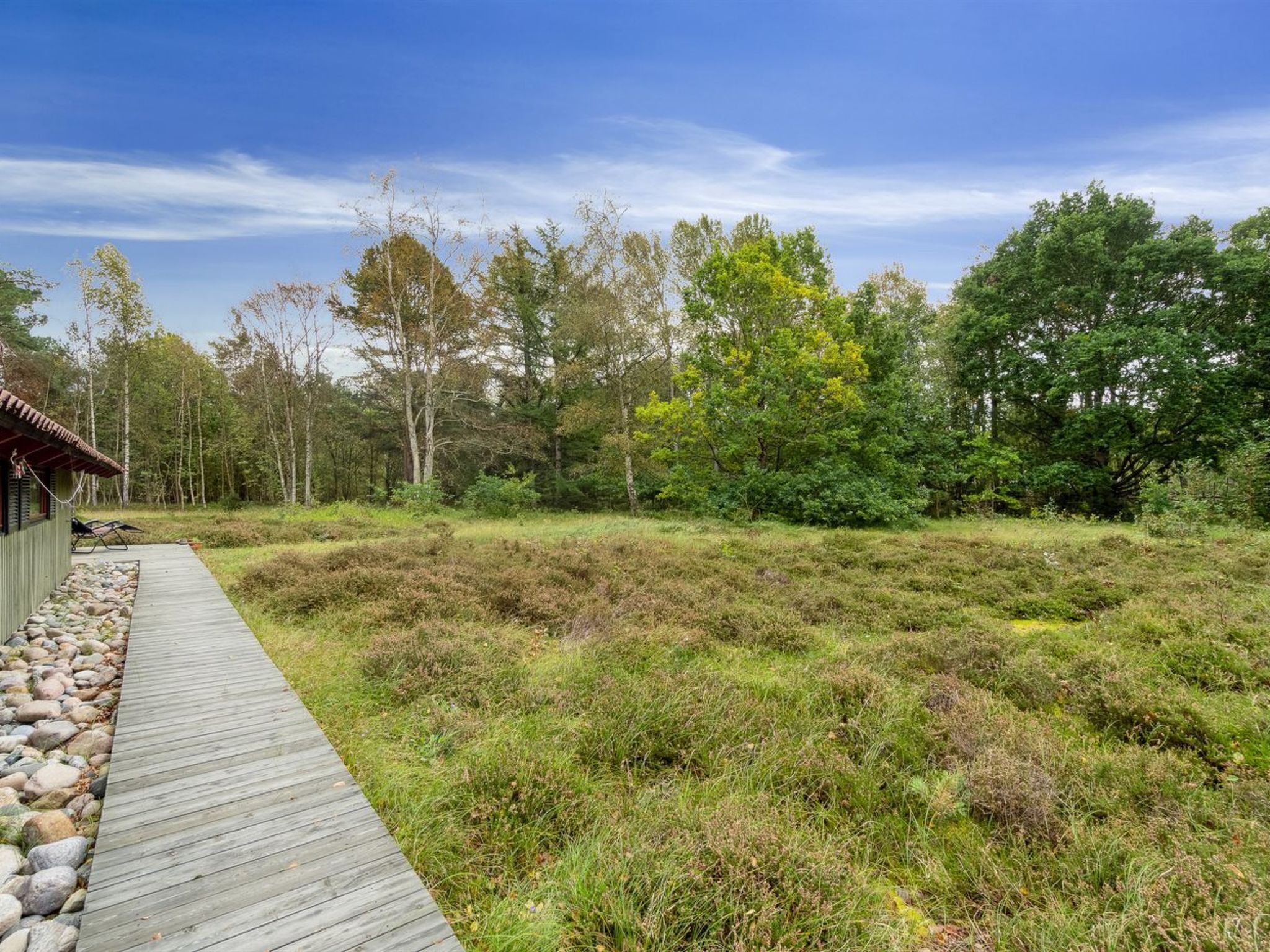 A wooden deck leading to a rustic cabin surrounded by a natural landscape with various trees and shrubs.