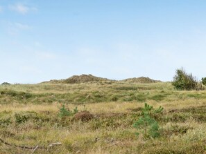 Miscellaneous - "Tishon" - 100m from the sea by Interhome (Læsø)