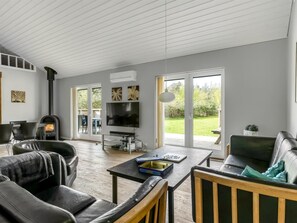 TV, fireplace, DVD player