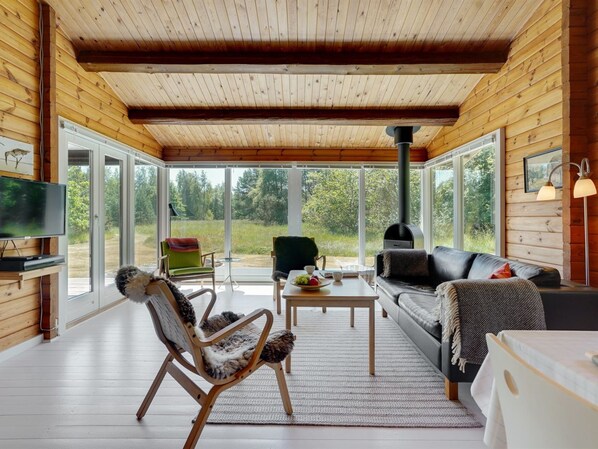 TV, fireplace, DVD player