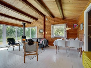 TV, fireplace, DVD player