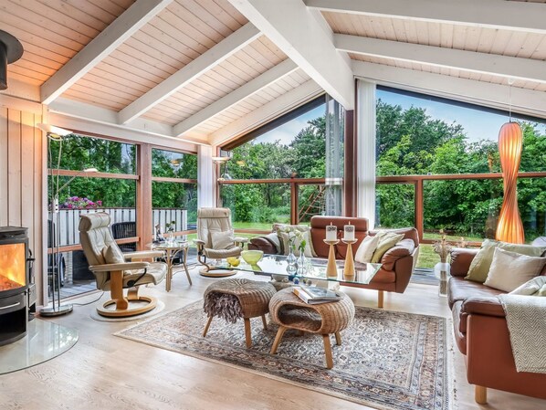 TV, fireplace, DVD player