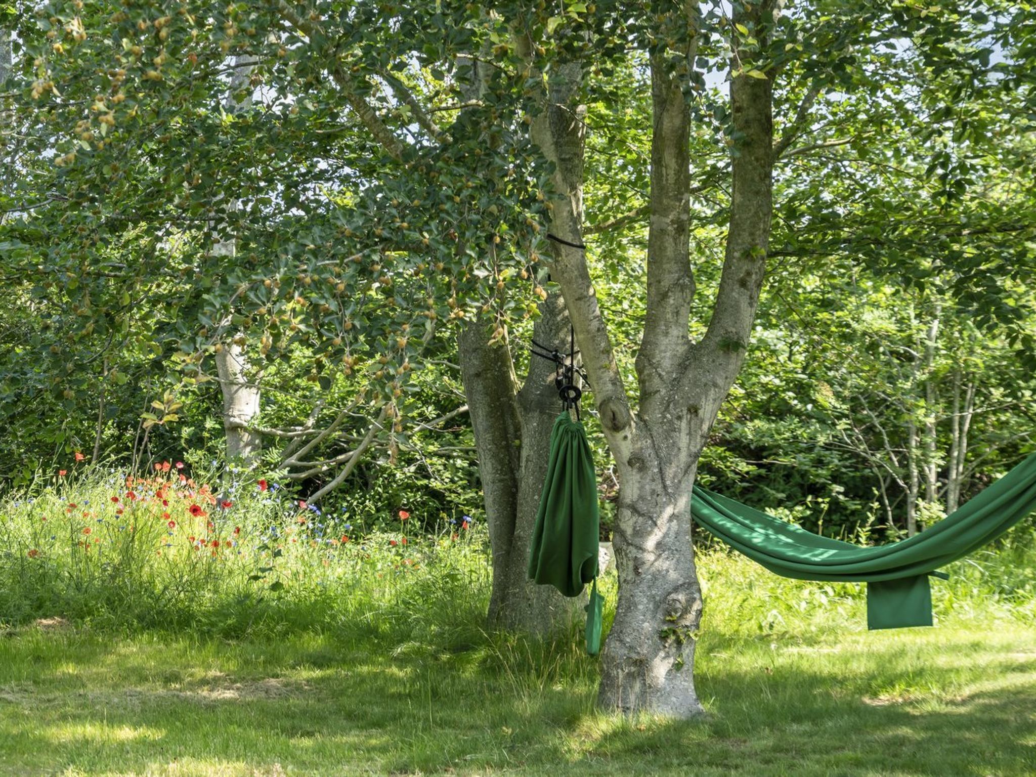 A hammock hanging between two trees in a grassy area with wildflowers.